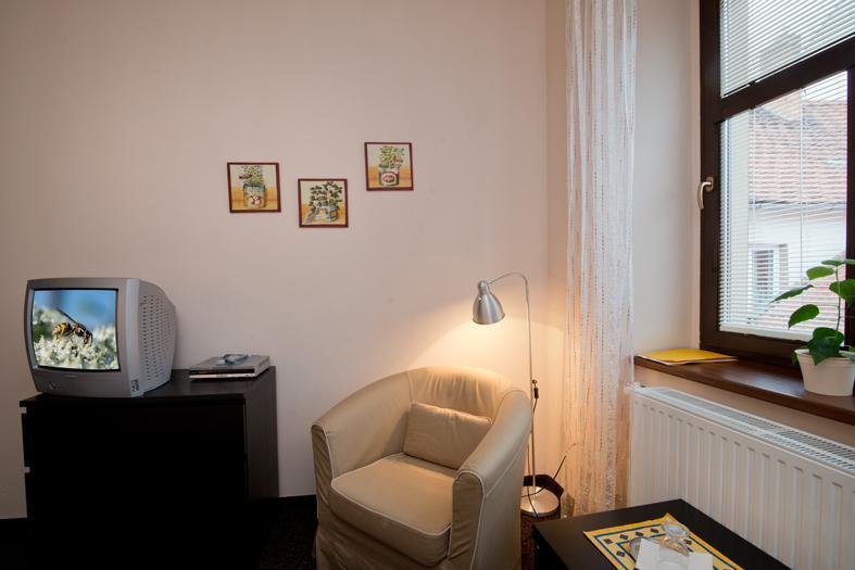 Hotel U Zlateho Byka Pisek  Exterior photo